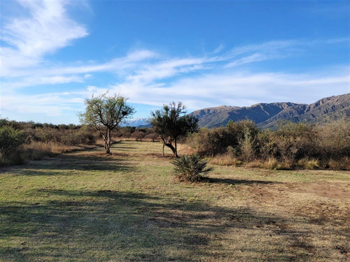 Imagen 12 de 14 de Lote De 1976,64m2 - Bosquecito De Melany