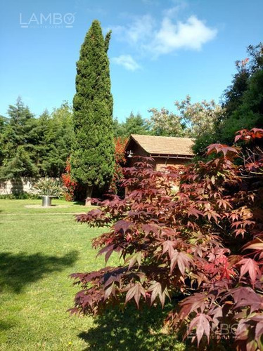 Imagen 28 de 30 de Venta-campo-pilar -ruta 28