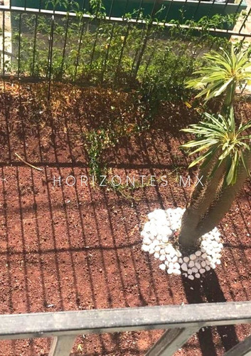 Imagen 4 de 22 de Casa En Renta Calle Alhóndiga
