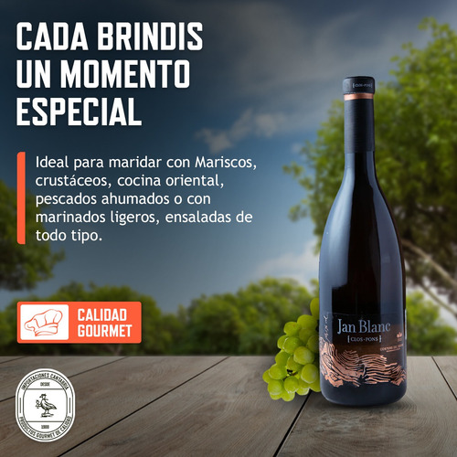 Vino Blanco Español Jan Blanc 750ml Clos Pons Pack X6