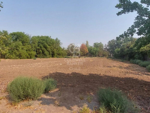 Excelente Sitio  Las Brisas Chicureo Muy Buena Ubicación