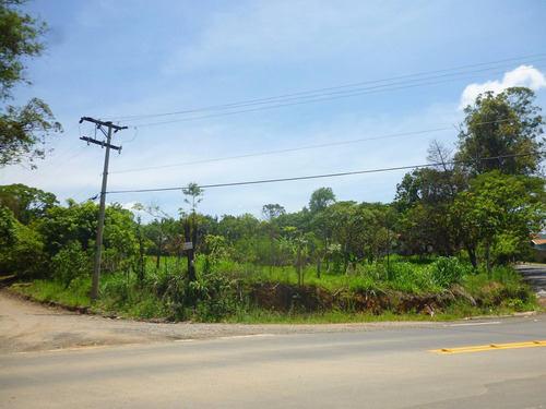Imagem 13 de 18 de Terreno A Venda, Colinas De Indaiatuba Ii, Indaiatuba - Tr01631 - 4229513