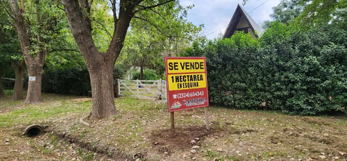 1 Hectárea A La Venta En Esquina Sobre Ruta 41 Con Mejoras Mercedes, Bs. As.