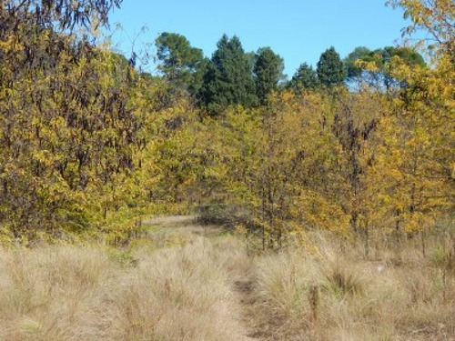 Terrenos O Lotes Venta Nono