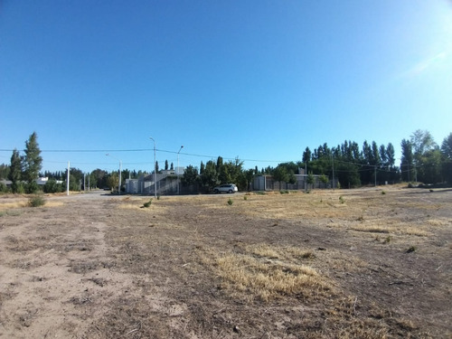 Imagen 2 de 6 de Terreno 250 M² Barrio Confluencia Rural Loteo Los Cardenales