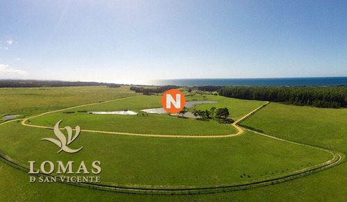 Imagen 2 de 7 de Espectaculares Lotes A Pasos Del Mar Con Un Entorno Único, Lotes Desde 4.500 Mt2 - Jose Ignacio San Vicente