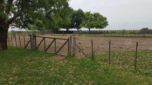 Imagen 9 de 17 de Campo En Venta 780 Has Mixto En Chascomus- 90 % Clase Iii.