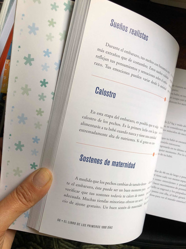 El Libro De Los 1000 Días