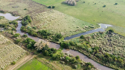 Venta Chacra Con Reserva Natural San Bautista Canelones