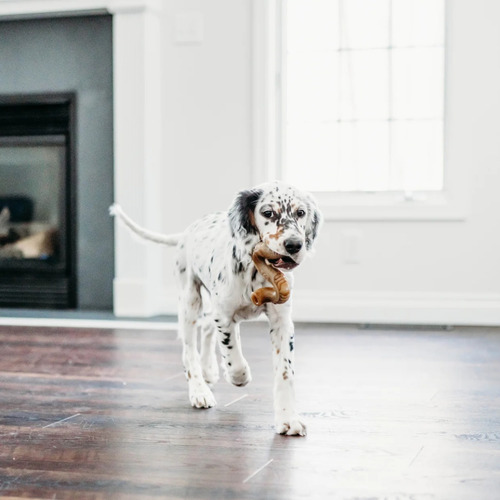 Hueso Masticable Benebone Tripbone Small Juguete Perro