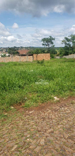 Imagem 9 de 14 de Lote À Venda No Novo Igarapé - Te0209