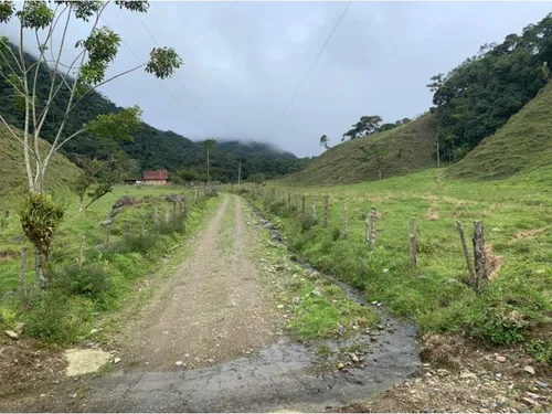 Vendo Fk 400 Cuadras Aptas Para Hass Pueblo Rico (risaralda)