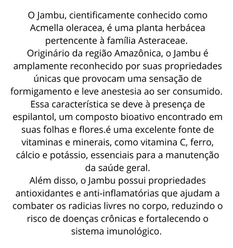 Sementes Jambu Para 100 Un Tacaca Bebidas Restaurantes Caldo