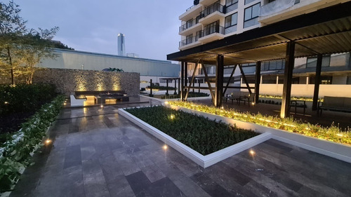 Imagen 6 de 24 de Nuevo Departamento Ph Con Roof Garden Privado En Bello Resid