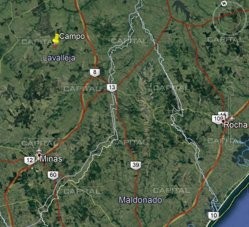 Imagen 5 de 5 de Muy Buen Campo De 90 Hectáreas En Lavalleja - Minas