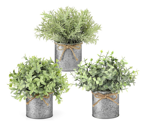 Mini Plantas Falsas Macetas De Metal Galvanizado Casa D...