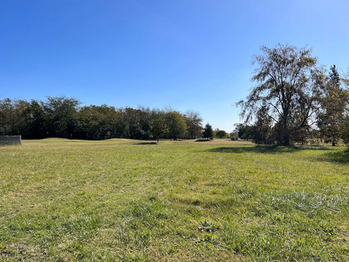 Imagen 2 de 30 de Venta Lote Central - Medal C.c Con Vista Al Golf
