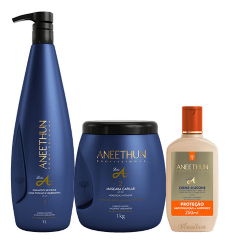 Aneethun Shampoo + Máscara 1 L + Creme De Silicone Proteção
