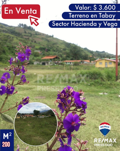 Terreno En Venta  Tabay- Sector Hacienda Y Vega