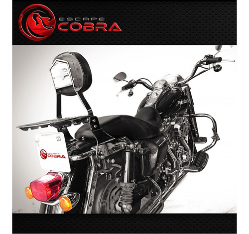 Sissy Bar Touring Road King 2009