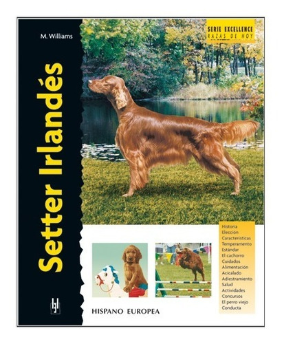 Imagen 1 de 1 de Libro Perros Raza Setter Irlandes Excellence De M Wil