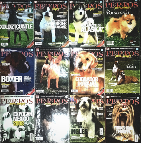 12 Revistas Perros Pura Sangre Coleccionables Selectas (Usado)