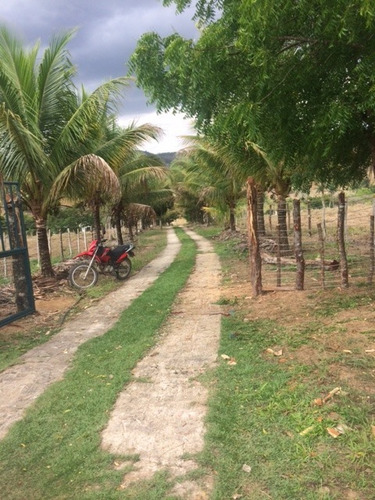 Imagem 16 de 20 de Ótimo Para Empreendedorismo, Fazenda 16 Hec, Rio E 2 Açudes Perene, Agrestina - Fa00007 - 68991513