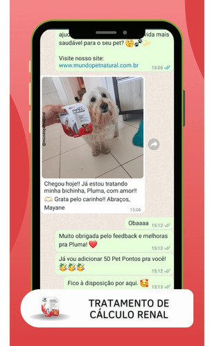 Hágil - Pipih Pet 30ml Controle Do Sistema Urinário