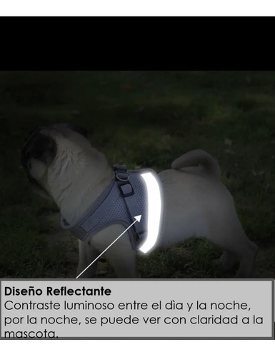 Pechera Malla Para Perros Razas Pequeñas + Correa
