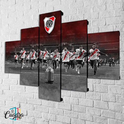 Cuadro River Plate Decorativo Moderno Cancha Futbol