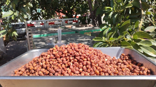 Imagen 8 de 9 de Coco Palen Nuts Frutos Secos Natural Y Confitad