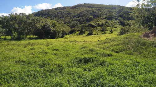 Imagen 13 de 14 de 165595 Katherine Castillo 0412-8567234 Venta Finca Carretera Aguirre
