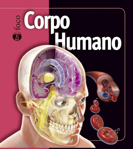 Livro Corpo Humano - Capa Dura