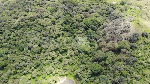 Imagen 6 de 10 de Terreno El Roble