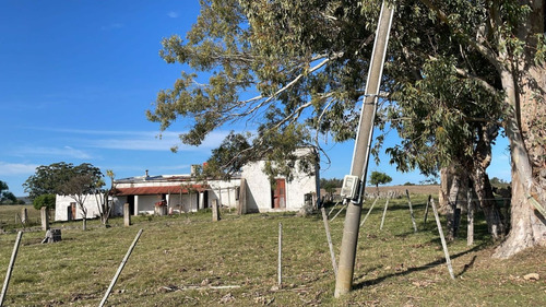 Quinta En Venta En Punta Ballena