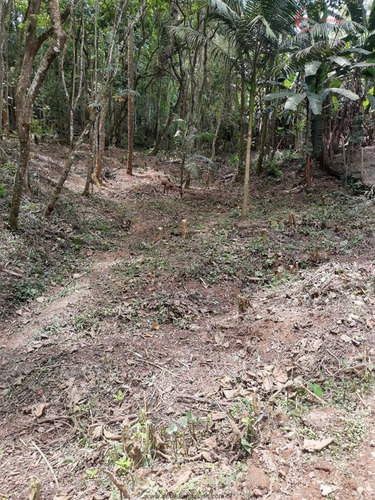 Imagem 21 de 26 de Terrenos Em Loteamento Fechado À Venda Em Mairiporã/sp - Compre O Seu Terrenos Em Loteamento Fechado Aqui! - 1452335