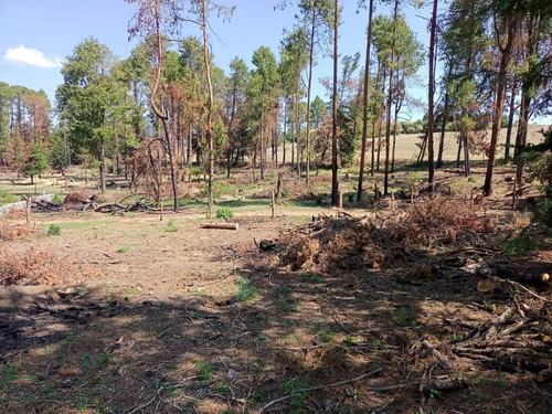 Terreno Kilómetro 47