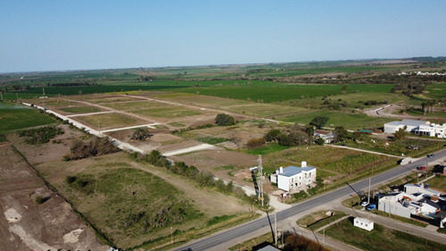 En Venta - Lotes En Oro Verde