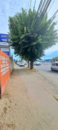 Venta De Sitio En Ubicación Estratégica Talca (105114)