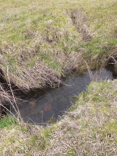 Pucon Y Caburgua Exclusivas Parcelas En (83774)