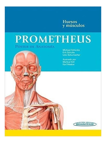 Prometheus. Póster De Anatomía. Huesos Y Músculos