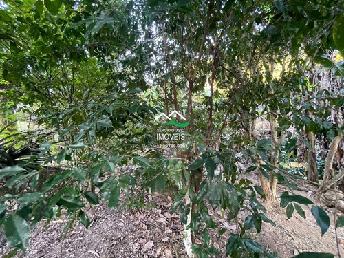 Imagem 28 de 30 de Chácara Com 2 Dorms, Area Rural, Pedro De Toledo - R$ 139 Mil, Cod: 542 - V542