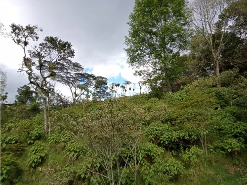 Vendo Finca Reventones Anolaima