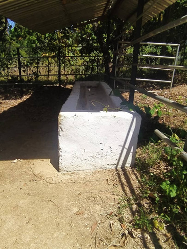 Imagen 12 de 14 de Gran Finca O Terreno En Sector Las Manzanitas, Tinaquillo 04124667445 (att-134)