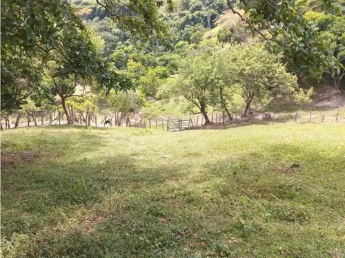 Venta Finca El Limonar Ebéjico