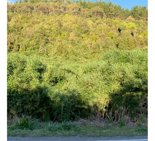 Parcela De 6.000m2 Playa La Misión Orilla Camino Valdivia.