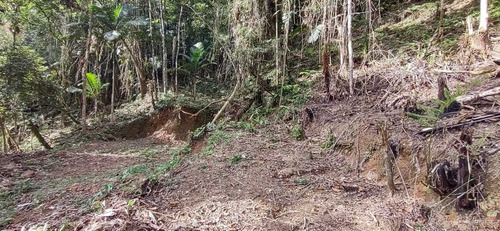 Imagem 7 de 14 de Juquitiba Terreno P Construir/platô/limpo/5000 Mts Ref 05137
