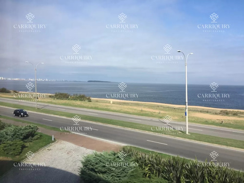 Playa Mansa Punta Del Este