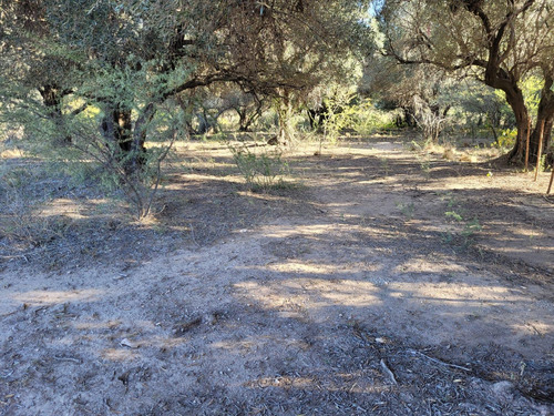 Terreno En San Javier Córdoba Traslasierra Lotes Venta
