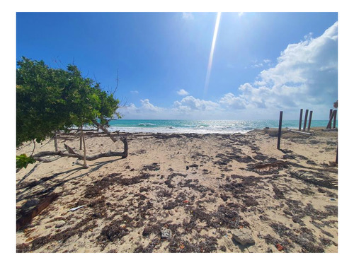 Imagen 2 de 9 de Terreno En Venta En Isla Blanca